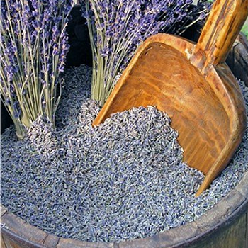 Motten Lavendel met schep