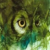 Oak & Owl - Festival voor Green Spirits