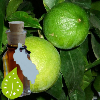 bergamot_olie-biologisch