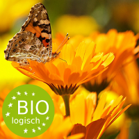 goudsbloem-calendula-butterfly-bio