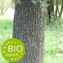 witte_wilg-salix_alba_bark-bio